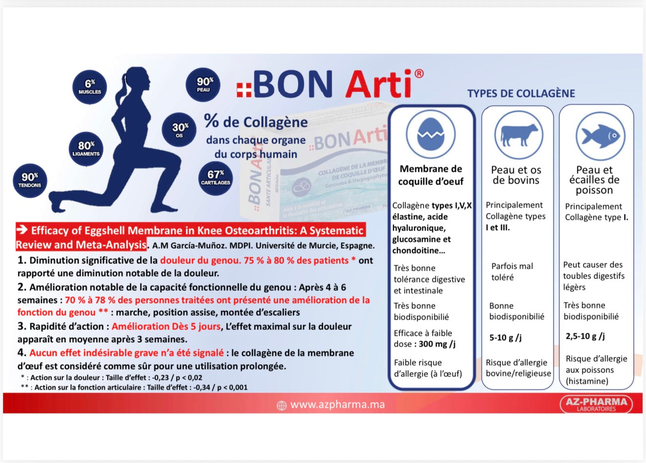 BON Arti Duo – Double action pour des articulations plus libres